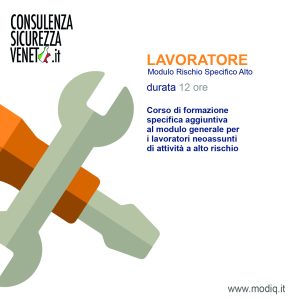 LAV-12-ALTO-CON-LOGO-CSV-300x300  