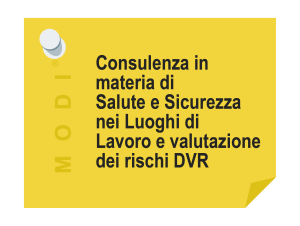 17-consulenza-SSLL-DVR-300x226  