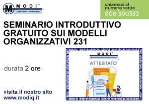 seminario-integrativo-modelli-organizzativi-231-2-ore-300x211  